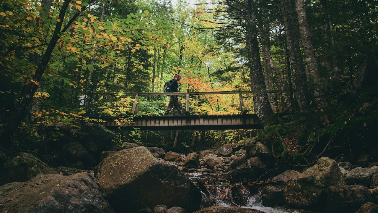 Man walking on a bridge in the woods of Hackettstown, New Jersey.