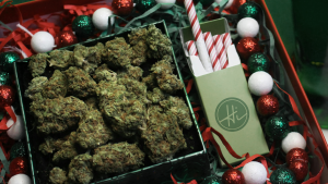 A holiday gift box with cannabis flower and candy cane-striped pre-rolls, surrounded by festive red, green, and white decorations.