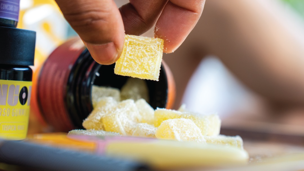 Hand picking up a sugar-coated yellow cannabis gummy from an open jar of Encore Gummies.