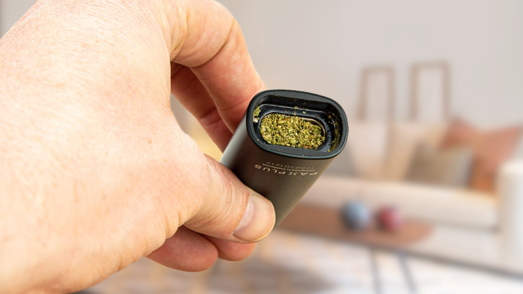 Hand holding a dry herb vaporizer packed with cannabis flower for vaping