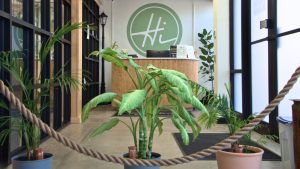 Lobby of High Street Dispensary in Hackettstown, NJ, featuring lush green plants and the signature “Hi” logo behind the reception desk.