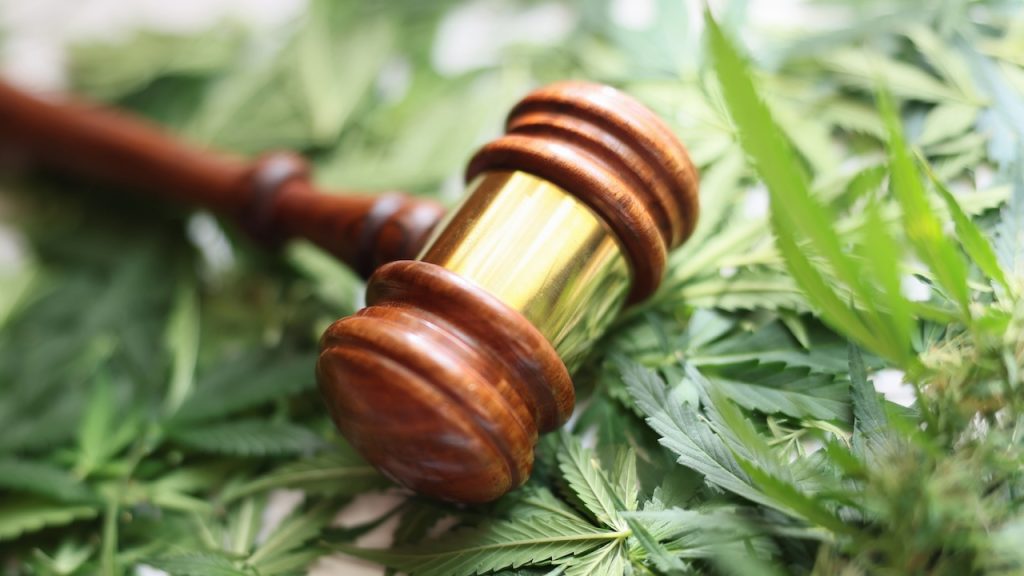 Judge gavel on cannabis leaves representing federal hemp ban and cannabis regulation changes.